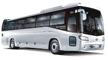Замовлення автобуса на весілля у Санкт-Петербурзі замовлення