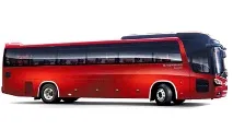 Замовлення автобуса на весілля у Санкт-Петербурзі автобус