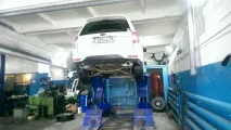 кострових