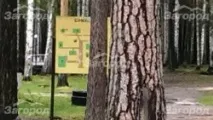 Забронювати базу відпочинку Зелений вогник - ціни на турбазу Зелений вогник відпочинку