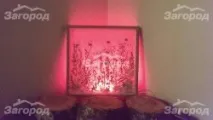Забронювати базу відпочинку Зелений вогник - ціни на турбазу Зелений вогник базу
