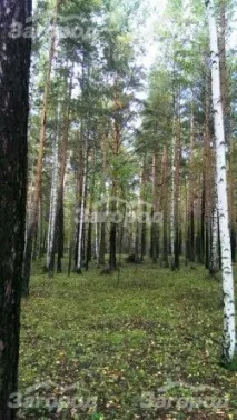 Забронювати базу відпочинку Зелений вогник - ціни на турбазу Зелений вогник відпочинку