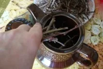 Заварюємо чай із власного саду гілочок