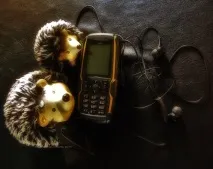 Захищений телефон Sonim, Цікавий Світ подорожі, туризм, психологія, наука, техніка, sonim