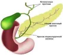 Застій жовчі симптоми і що робити Інфо застій