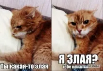 Жіноча логіка у картинках, Завжди у формі! логіка