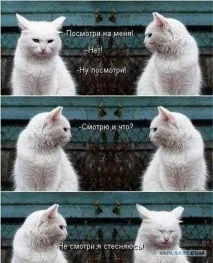 Жіноча логіка у картинках, Завжди у формі! картинках