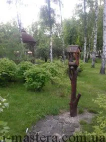 Ідеї прикраси двору двору