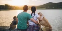 8 доказів того, що власники собак - ідеальне подружжя того