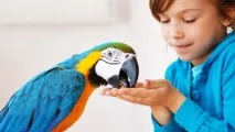 5 найкращих домашніх вихованців для дитини. вихованців