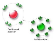 Антиоксиданти у чаї здоров
