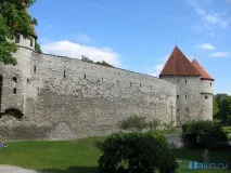 Башта Кік-ін-де-Кек у Таллінні вежі