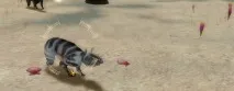 пухнасті