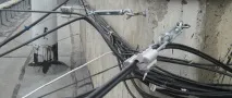Талреп. Стандарти та розміри розміри