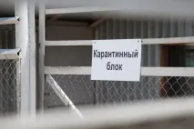Бомжі хвостаті бомжі
