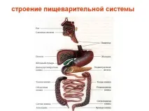 мами-лікаря