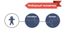 Чим пахне Новий рік новий