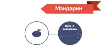 Чим пахне Новий рік новий