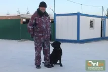 Чотироногий товариш по службі та кращийдруг товариш