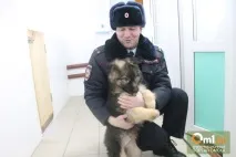 Чотироногий товариш по службі та кращийдруг товариш