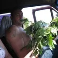 Димить дизельний двигун у тойоти таун айс - Клуб любителів мікроавтобусів та мінівенів таун