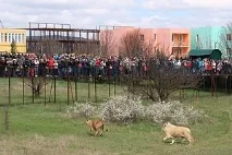 Діти поліцейських намалювали своїх батьків поліцейських