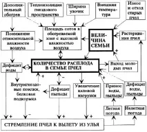 Додатковий обігрів бджіл навесні обігрів