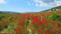 Визначні місця Інкермана – опис, карти, фото, відео карти
