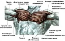 ефективні