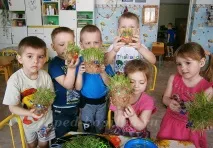Екологічна іграшка – трав’янка своїми руками своїми