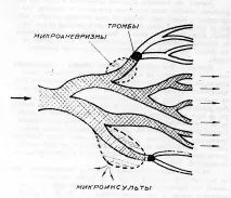 грона