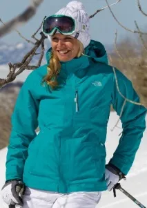 Історія бренду The North Face north