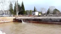 Гаряче джерело Тавда, Свердловська область, Благоздоровниця свердловська