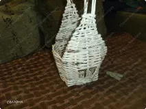 курячих