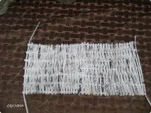 курячих