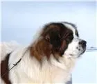 Ка доктора ЄФІМОВА А Автор