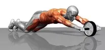 Які бувають тренажери для спини для дому бувають