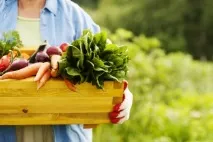 Які продукти зупинять розвиток раку зупинять