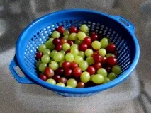Як зробити виноградне вино - як зробити самому виноградне вино - Кулінарні рецепти зробити