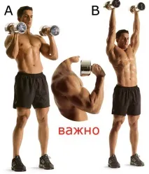 язові