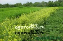 було