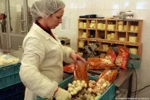 напівфабрикати