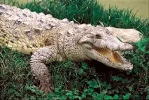 подорожуємо