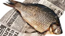 Яку рибу можна при грудному вигодовуванні можна