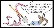 Як вирощують трепанги - Hodor трепангу