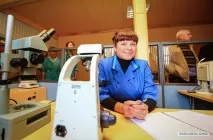 Як вирощують трепанги - Hodor вирощують