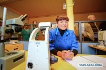 Як вирощують трепанги - Hodor трепанги