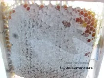 Як вибрати мед продукт