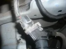 almera