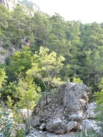 Каньйон Гейнюк можна